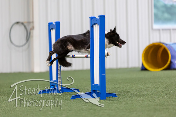 MastersSeriesAgility2026311