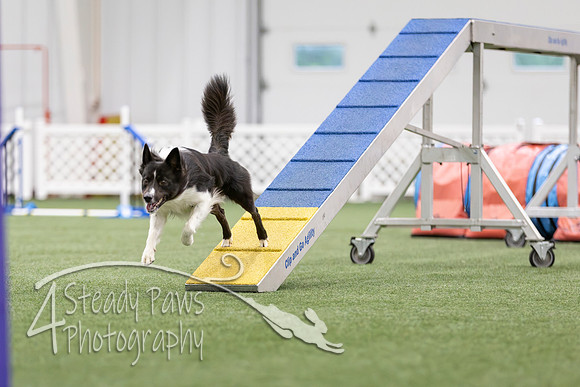 MastersSeriesAgility2026313