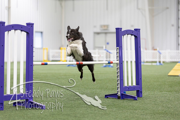 MastersSeriesAgility2026314