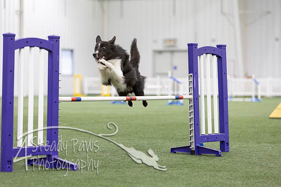 MastersSeriesAgility2026315