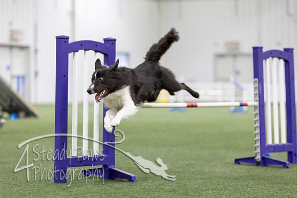 MastersSeriesAgility2026316