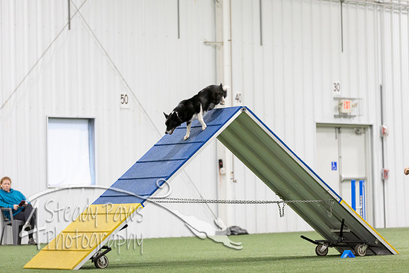 MastersSeriesAgility2026317