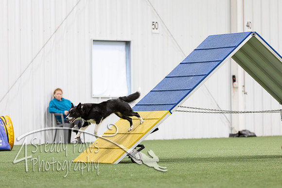 MastersSeriesAgility2026318