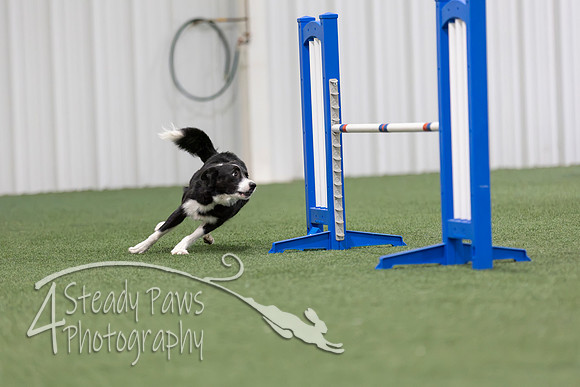 MastersSeriesAgility2026319