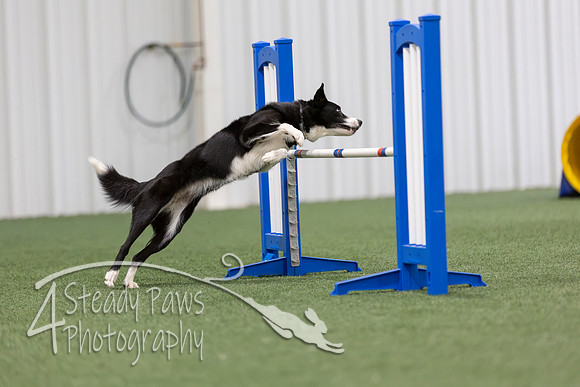 MastersSeriesAgility2026320