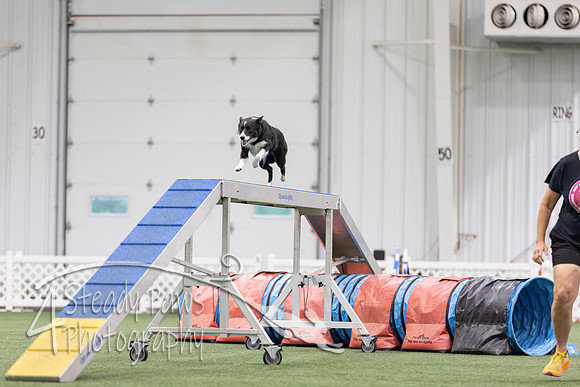 MastersSeriesAgility2026321