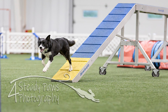 MastersSeriesAgility2026323