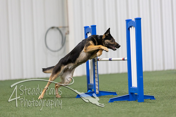 MastersSeriesAgility2026326