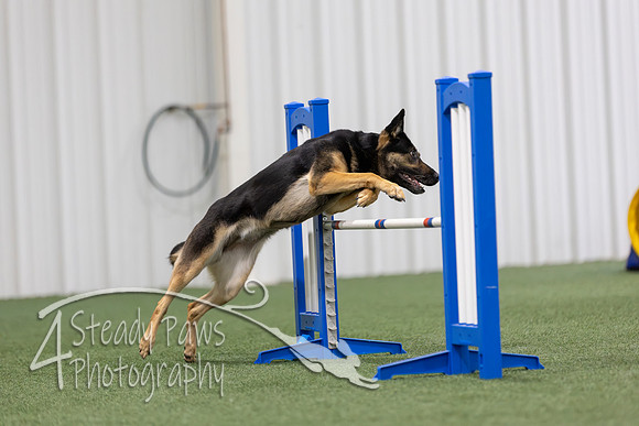 MastersSeriesAgility2026327