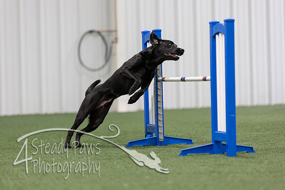 MastersSeriesAgility2026329