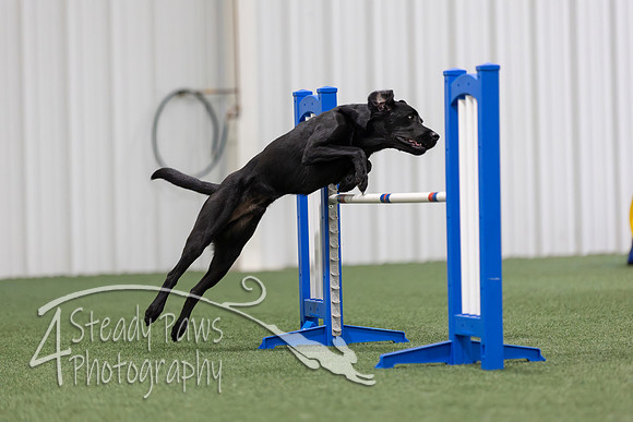 MastersSeriesAgility2026330