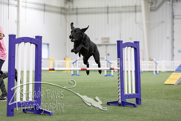 MastersSeriesAgility2026333