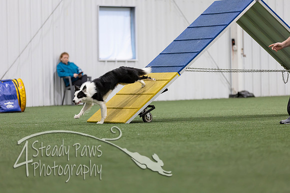 MastersSeriesAgility2026334