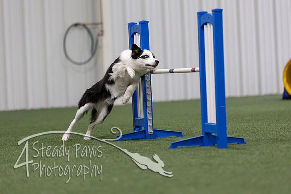 MastersSeriesAgility2026335