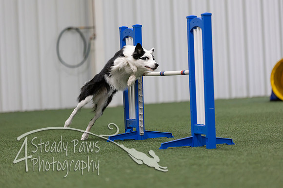 MastersSeriesAgility2026336