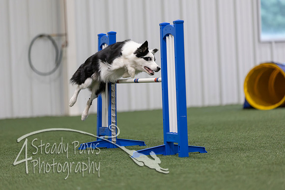 MastersSeriesAgility2026337