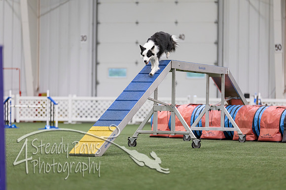 MastersSeriesAgility2026338