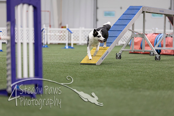MastersSeriesAgility2026339