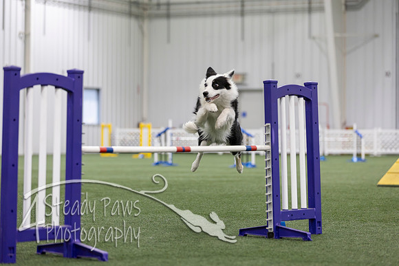 MastersSeriesAgility2026340