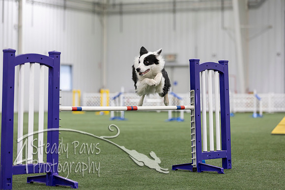MastersSeriesAgility2026341