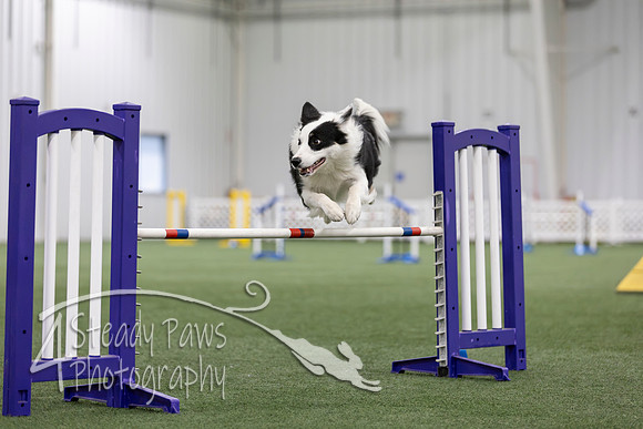 MastersSeriesAgility2026342