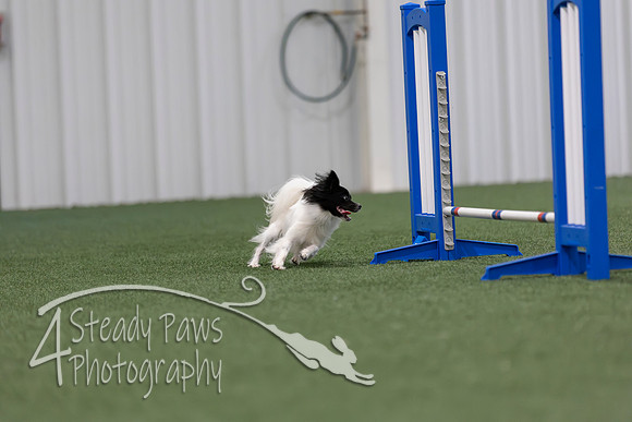 MastersSeriesAgility2026343