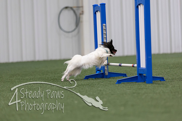 MastersSeriesAgility2026344