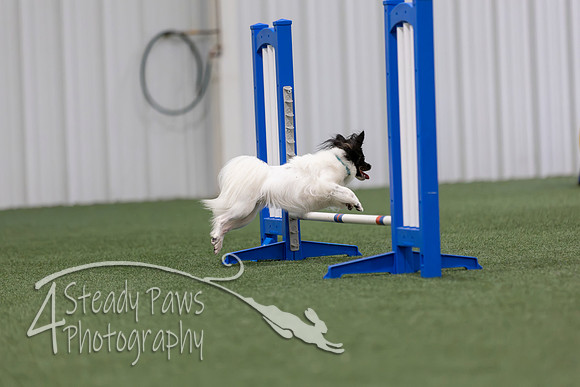 MastersSeriesAgility2026345