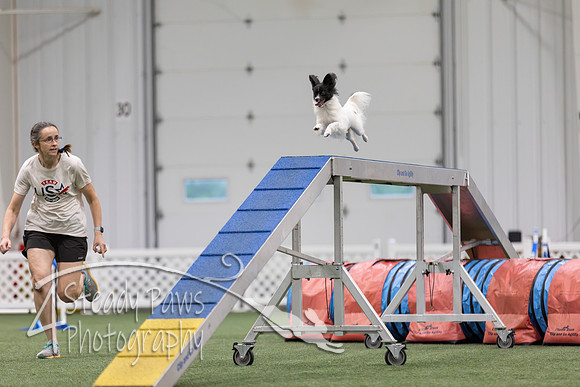MastersSeriesAgility2026346