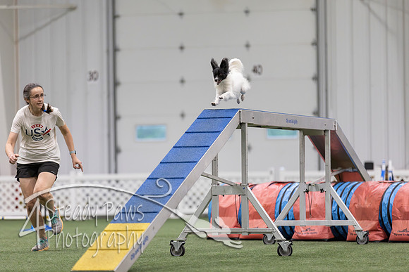 MastersSeriesAgility2026347