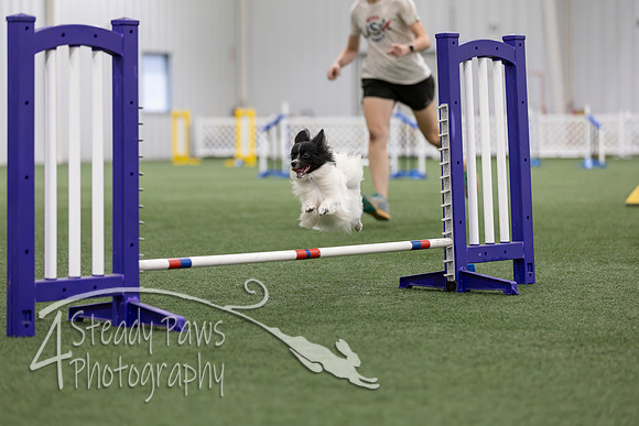 MastersSeriesAgility2026349