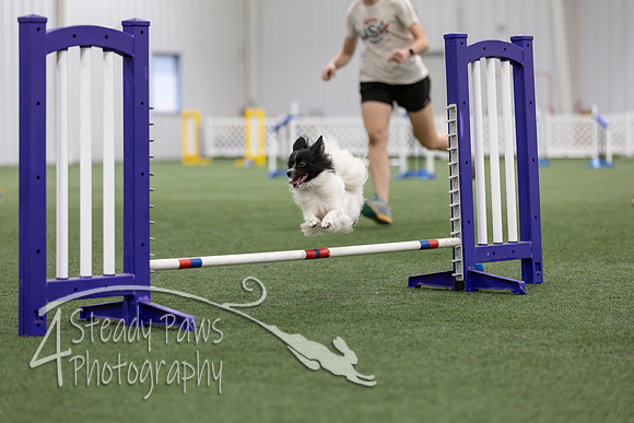 MastersSeriesAgility2026350