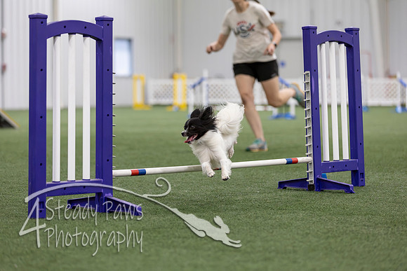 MastersSeriesAgility2026351