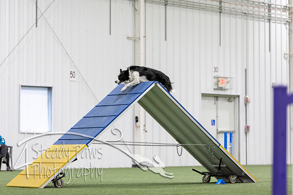 MastersSeriesAgility2026352
