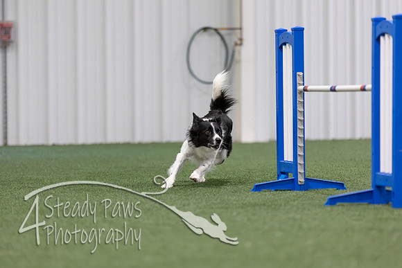MastersSeriesAgility2026354