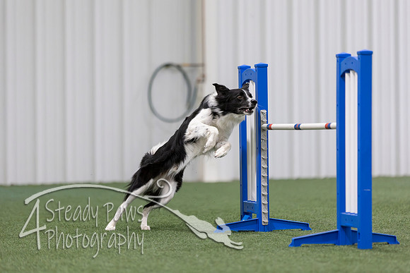 MastersSeriesAgility2026355
