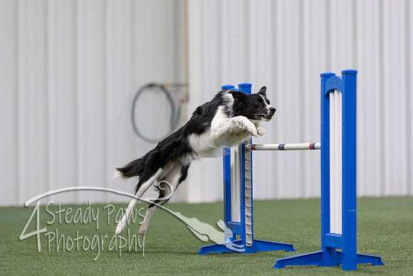 MastersSeriesAgility2026356