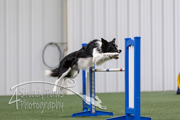 MastersSeriesAgility2026357
