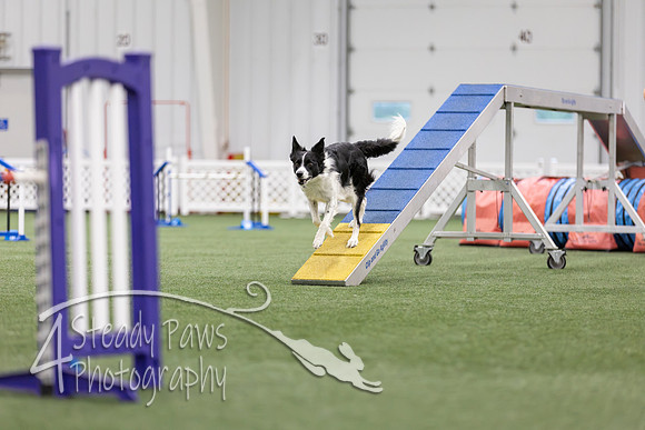 MastersSeriesAgility2026361