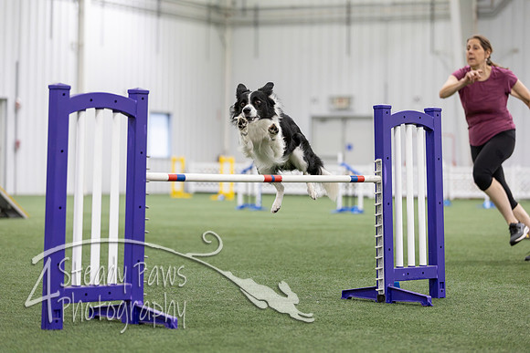 MastersSeriesAgility2026362