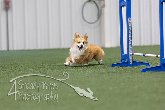 MastersSeriesAgility2026366