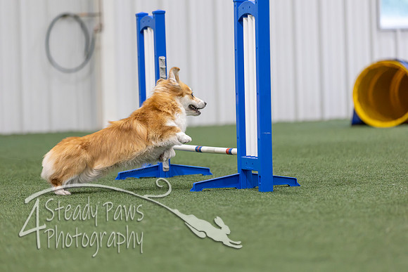 MastersSeriesAgility2026367