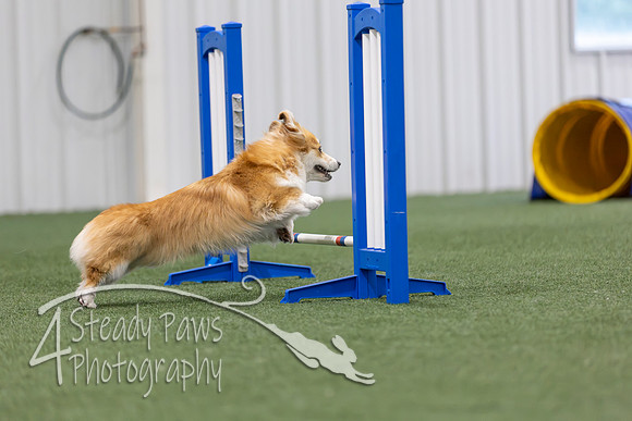MastersSeriesAgility2026368