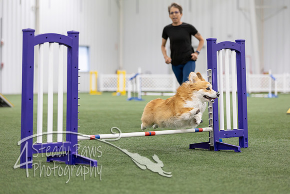 MastersSeriesAgility2026373