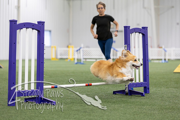 MastersSeriesAgility2026374