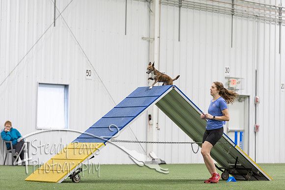 MastersSeriesAgility2026375