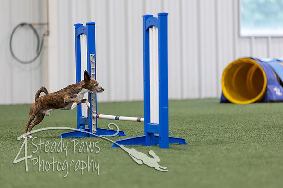MastersSeriesAgility2026376
