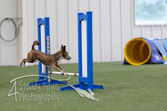 MastersSeriesAgility2026378