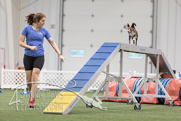 MastersSeriesAgility2026379