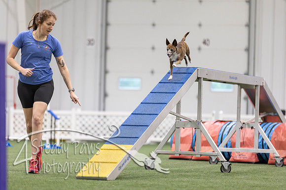 MastersSeriesAgility2026380